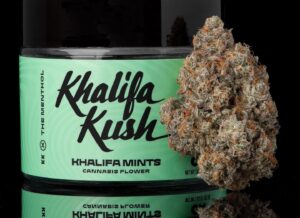 khalifa-kush-5