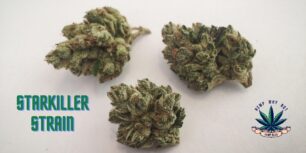 Starkiller Strain