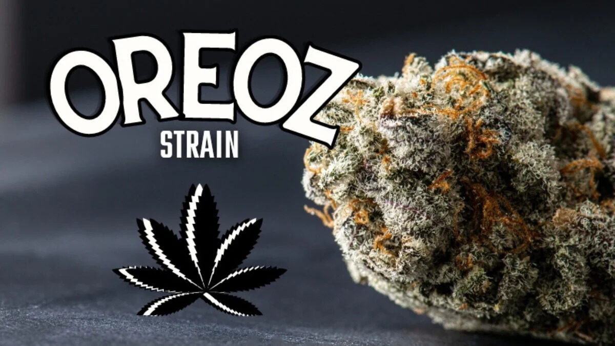 Oreoz Strain 1